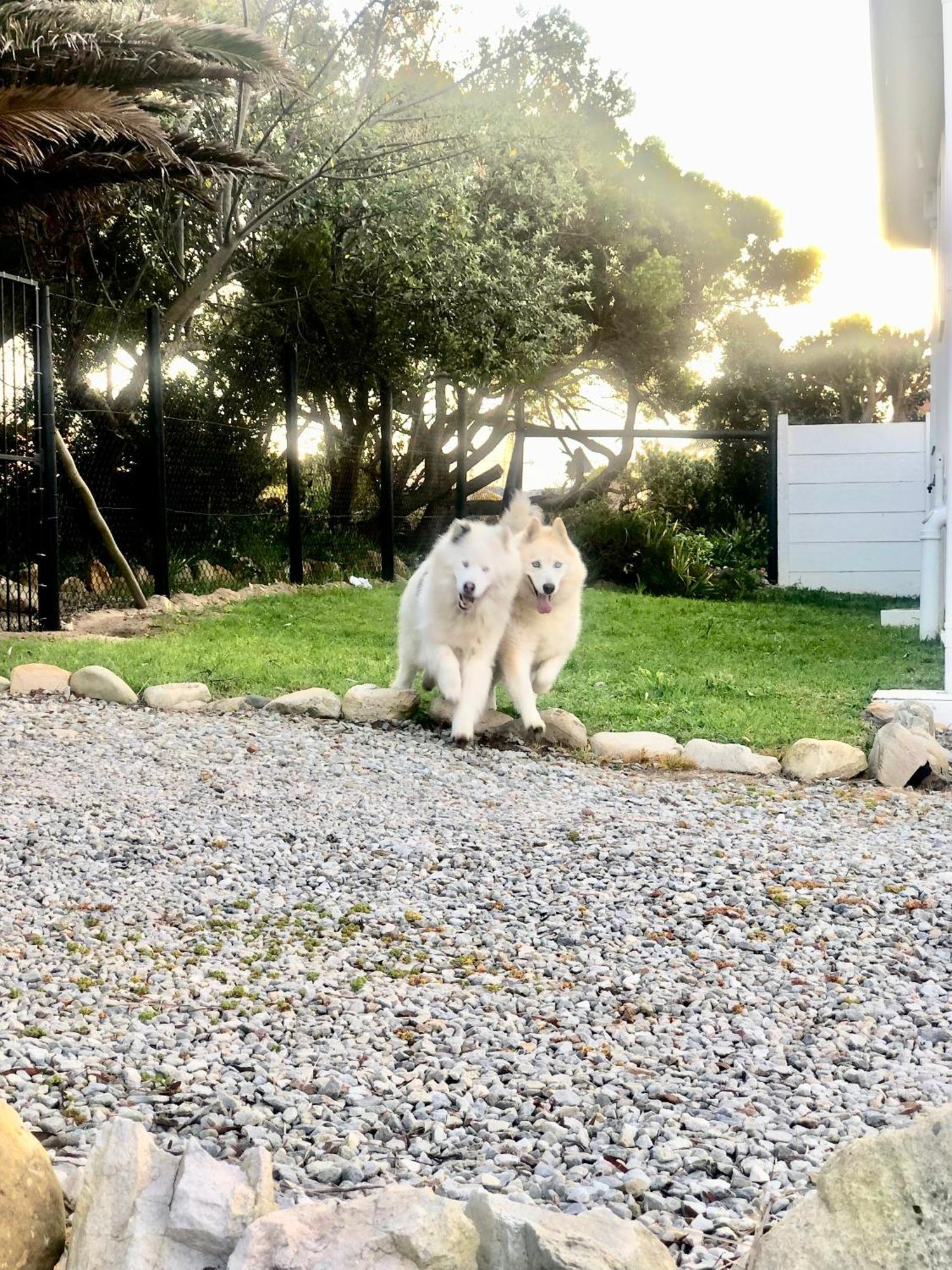 #Silversands Coastal Retreat In Betty'S Bay Villa Exteriör bild